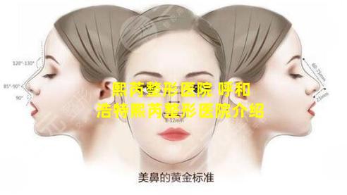 熙芮整形医院 呼和浩特熙芮整形医院介绍